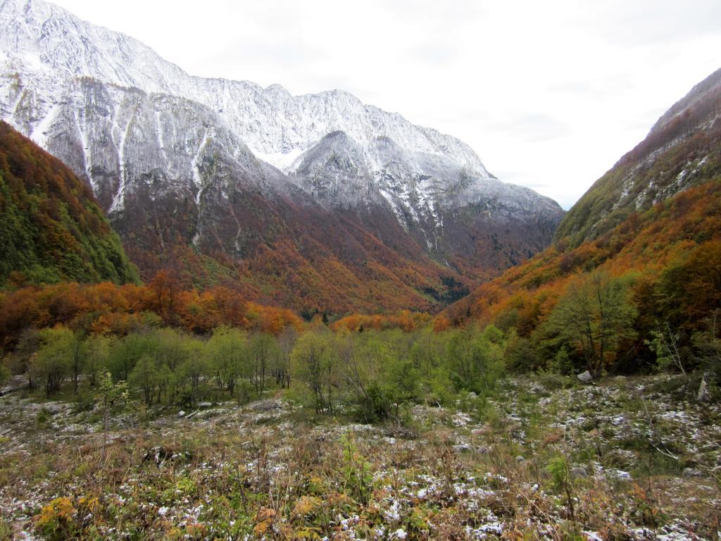 Bezgova Hisica Villa Bovec Buitenkant foto