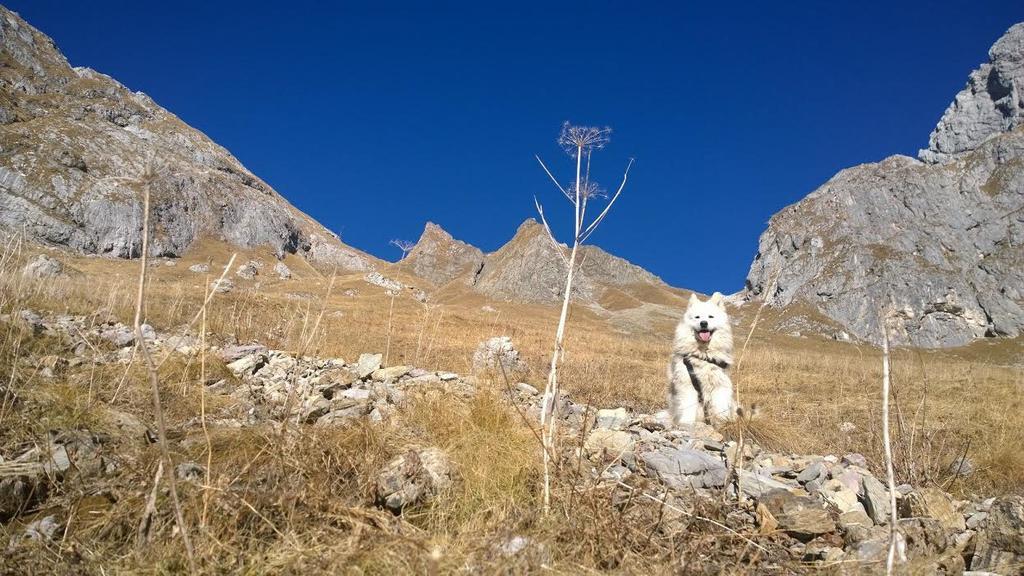 Bezgova Hisica Villa Bovec Buitenkant foto