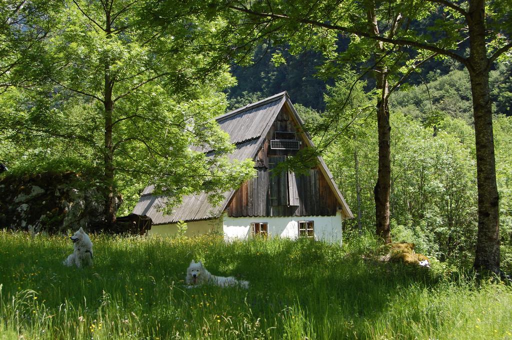 Bezgova Hisica Villa Bovec Buitenkant foto