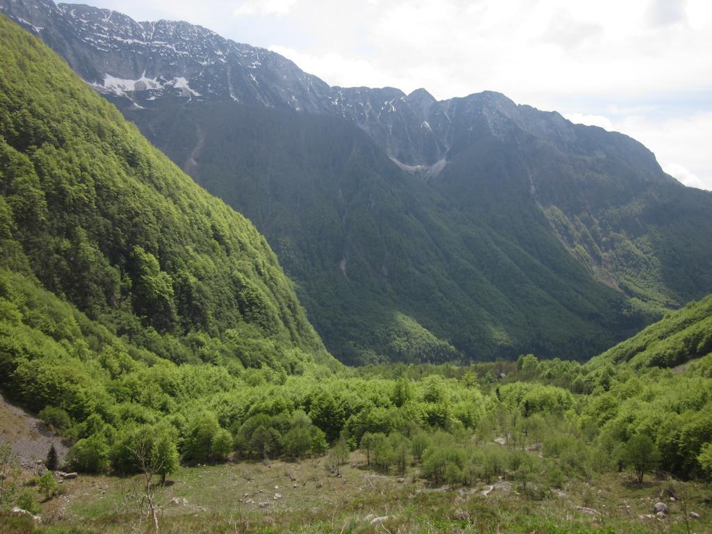 Bezgova Hisica Villa Bovec Buitenkant foto