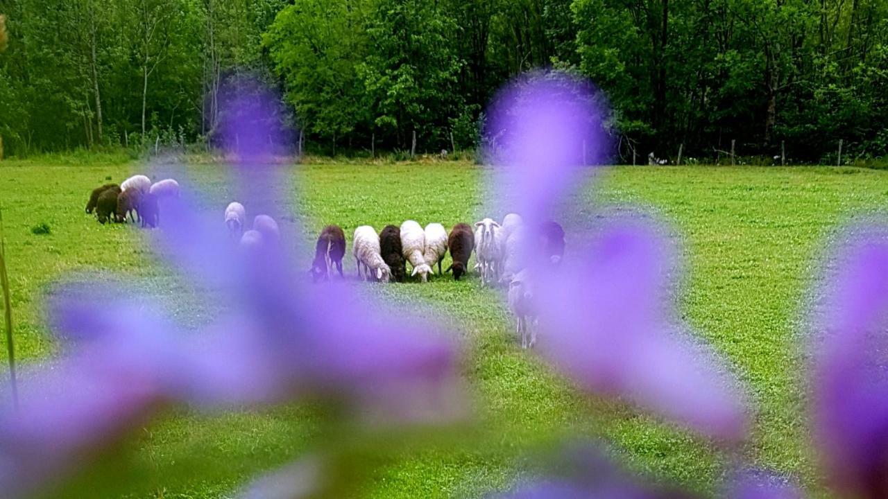 Bezgova Hisica Villa Bovec Buitenkant foto