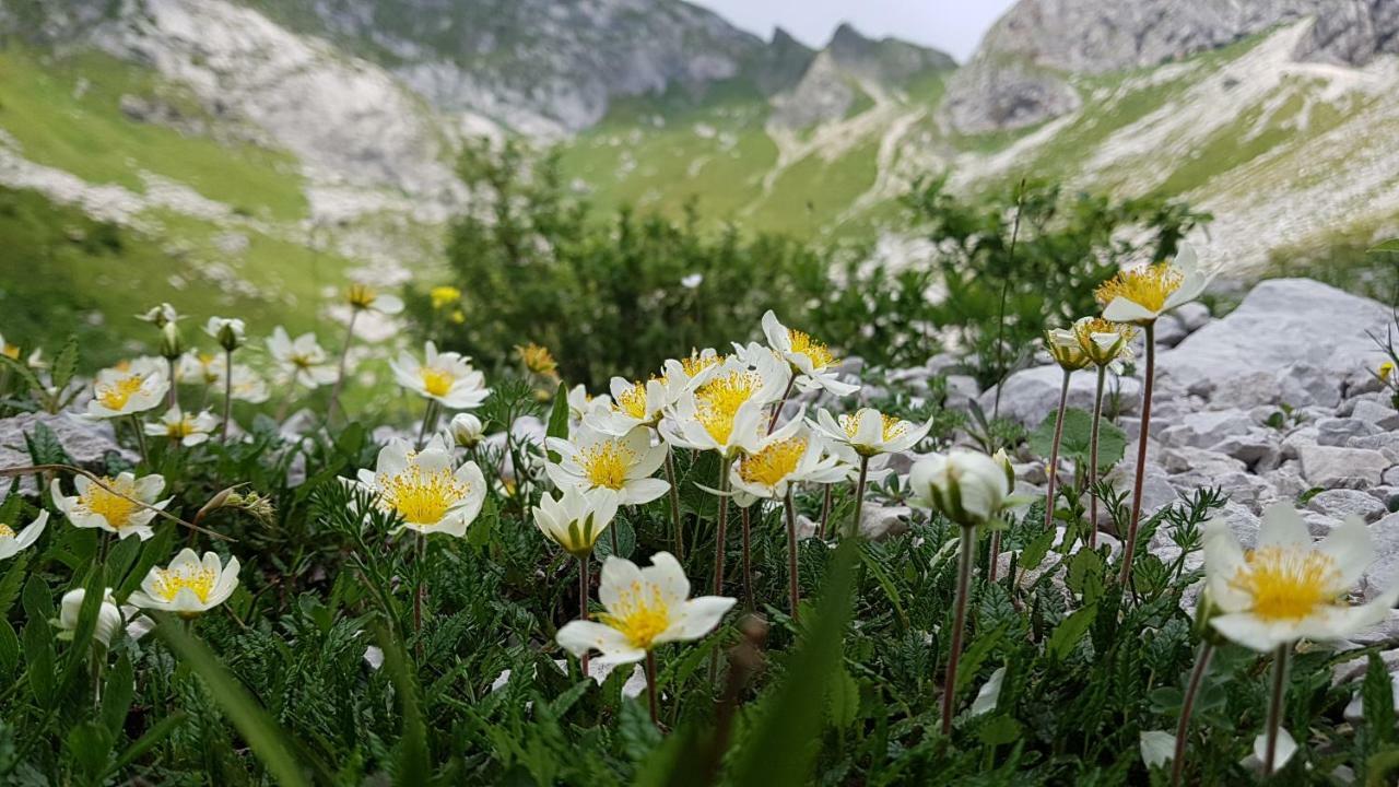 Bezgova Hisica Villa Bovec Buitenkant foto