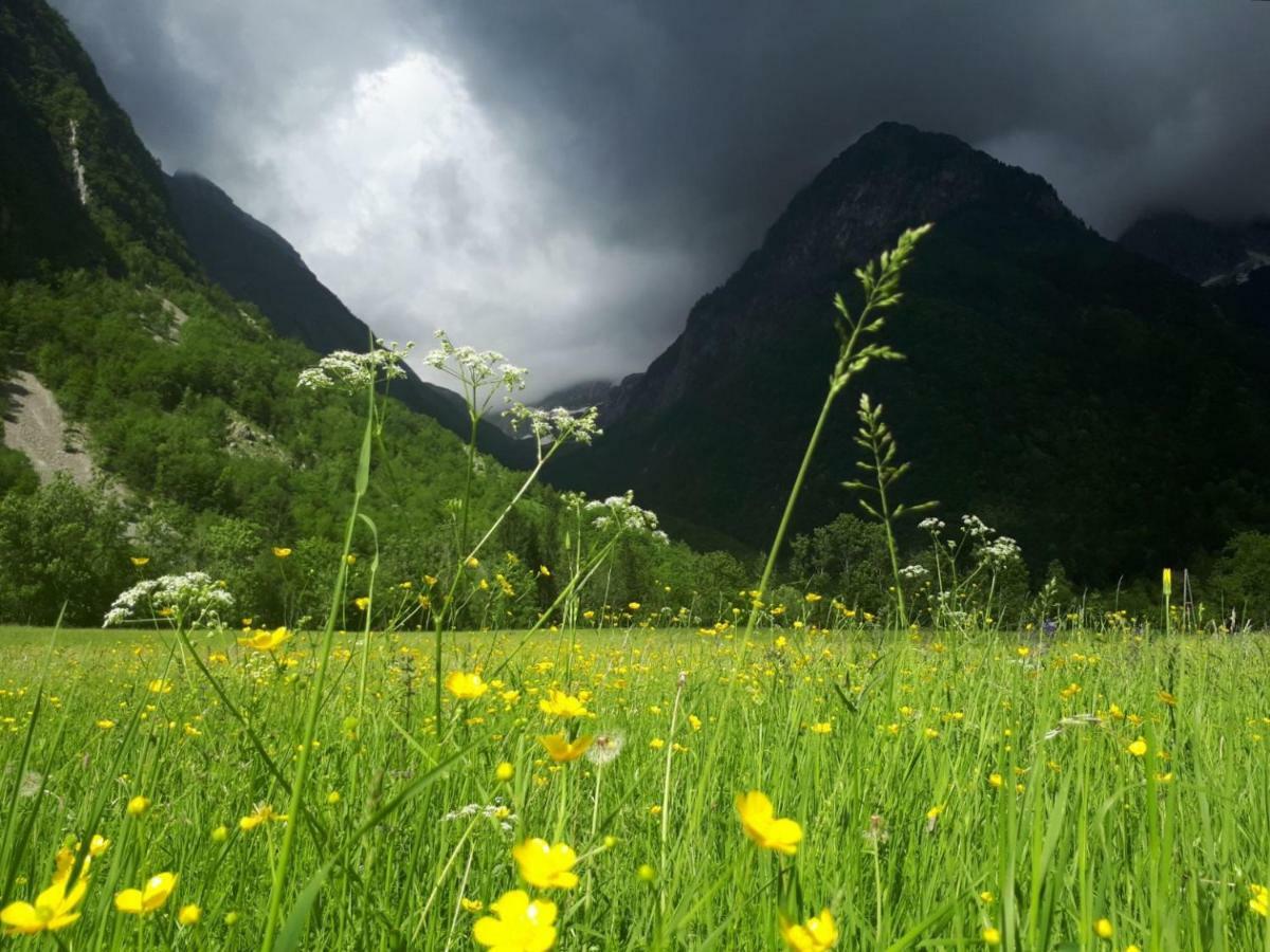 Bezgova Hisica Villa Bovec Buitenkant foto