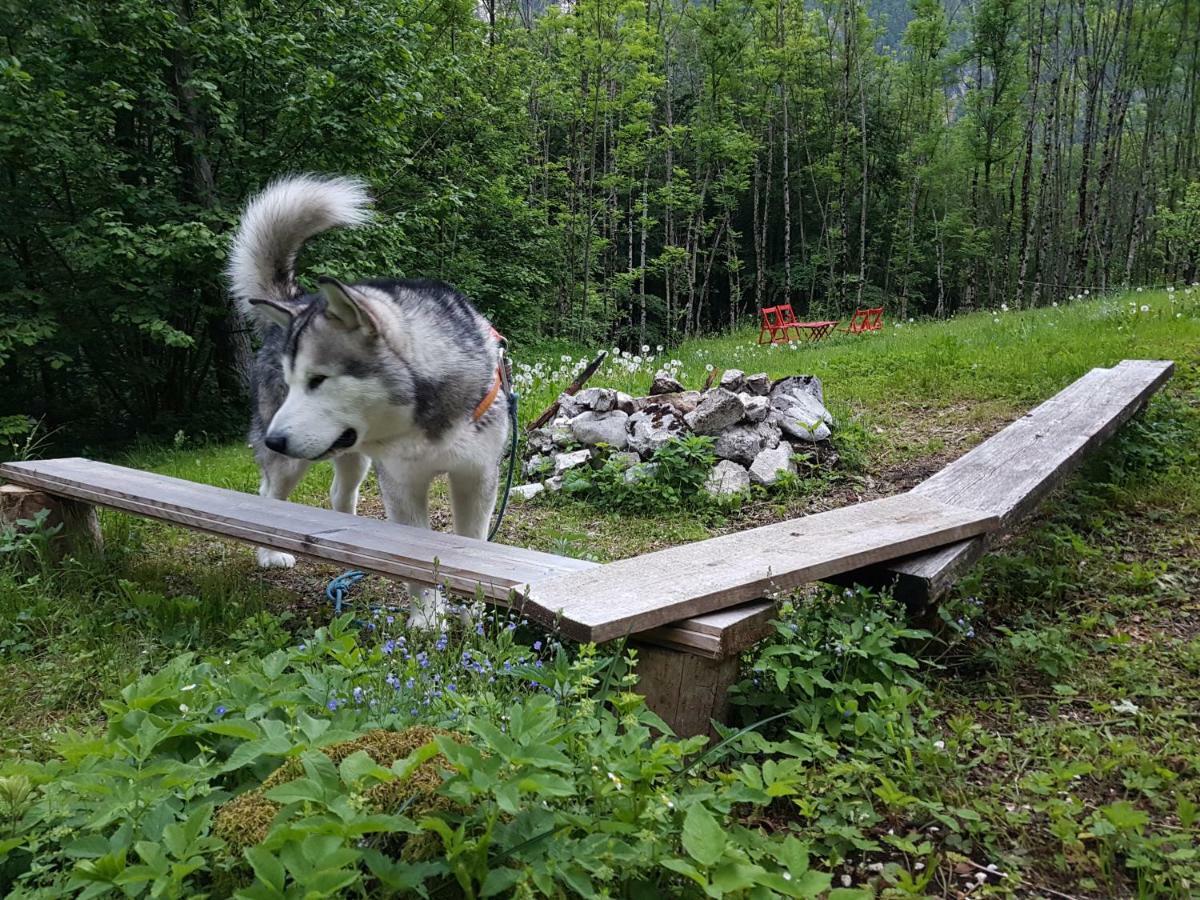 Bezgova Hisica Villa Bovec Buitenkant foto